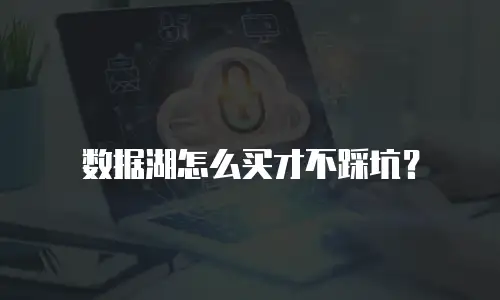 数据湖怎么买才不踩坑？