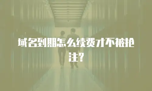 域名到期怎么续费才不被抢注？