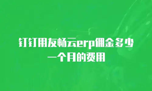 钉钉用友畅云erp佣金多少一个月的费用