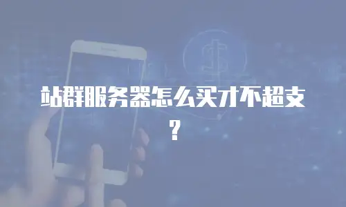 站群服务器怎么买才不超支？