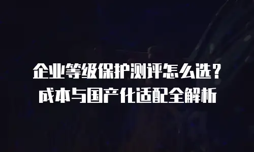 企业等级保护测评怎么选？成本与国产化适配全解析