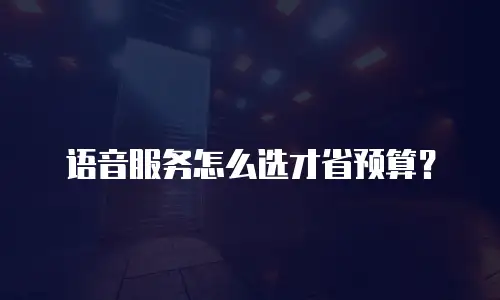 语音服务怎么选才省预算？