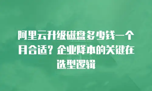 阿里云升级磁盘多少钱一个月合适？企业降本的关键在选型逻辑