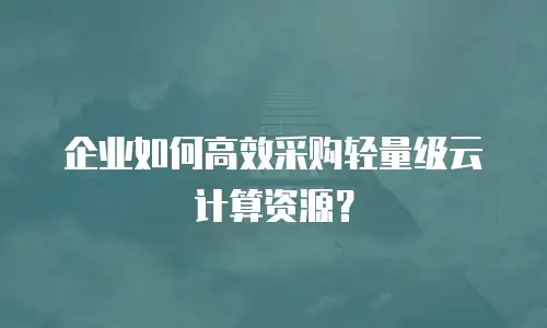 企业如何高效采购轻量级云计算资源？