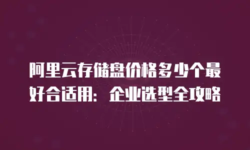 阿里云存储盘价格多少个最好合适用：企业选型全攻略