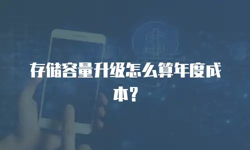 存储容量升级怎么算年度成本？