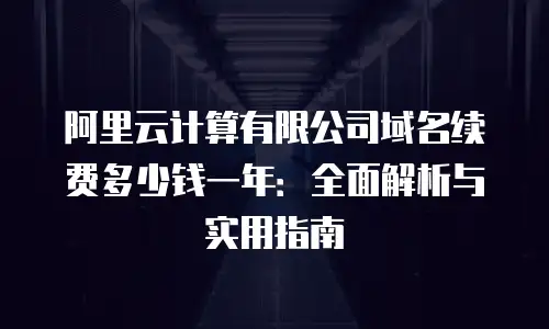 阿里云计算有限公司域名续费多少钱一年：全面解析与实用指南