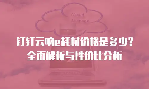 钉钉云呐e耗材价格是多少？全面解析与性价比分析