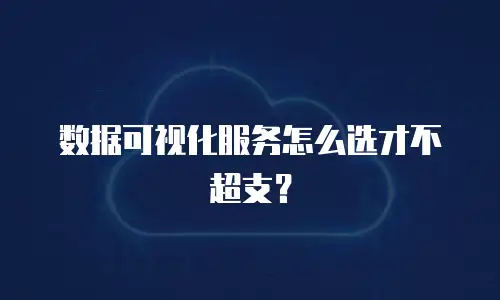 数据可视化服务怎么选才不超支？