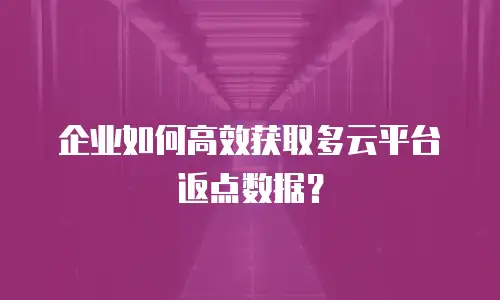 企业如何高效获取多云平台返点数据？