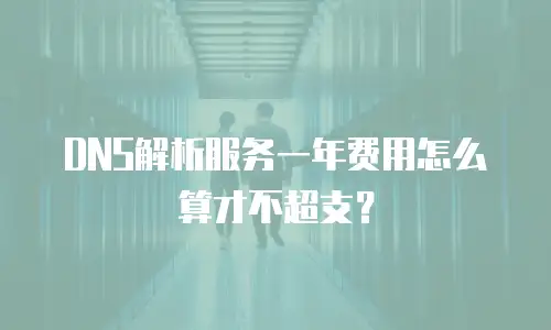 DNS解析服务一年费用怎么算才不超支？