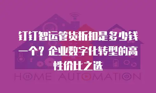钉钉智运管货折扣是多少钱一个？企业数字化转型的高性价比之选