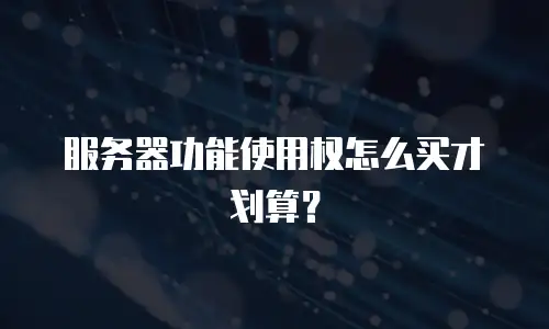 服务器功能使用权怎么买才划算？