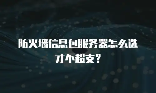 防火墙信息包服务器怎么选才不超支？