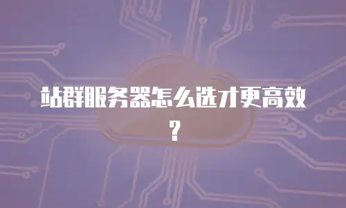 站群服务器怎么选才更高效？