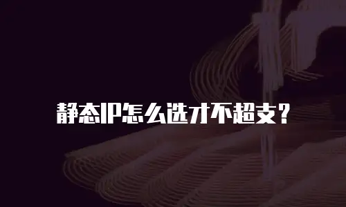 静态IP怎么选才不超支？