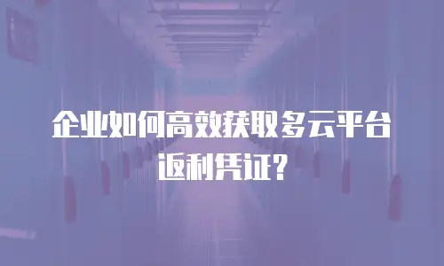 企业如何高效获取多云平台返利凭证？