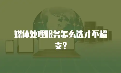 媒体处理服务怎么选才不超支？