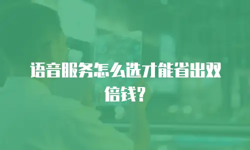 语音服务怎么选才能省出双倍钱？