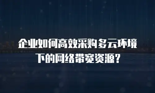 企业如何高效采购多云环境下的网络带宽资源？