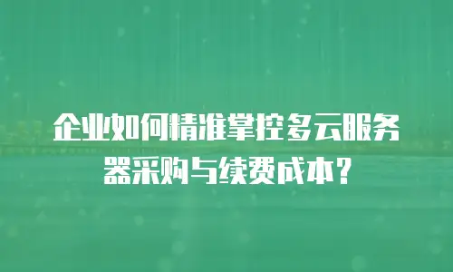 企业如何精准掌控多云服务器采购与续费成本？