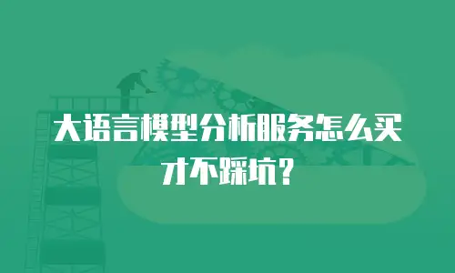 大语言模型分析服务怎么买才不踩坑？