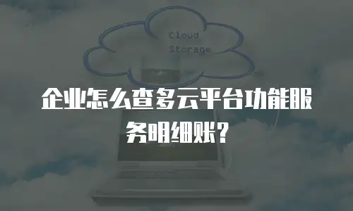 企业怎么查多云平台功能服务明细账？