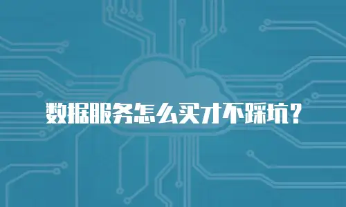 数据服务怎么买才不踩坑？