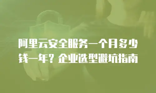 阿里云安全服务一个月多少钱一年？企业选型避坑指南