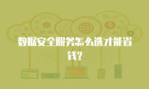 数据安全服务怎么选才能省钱？