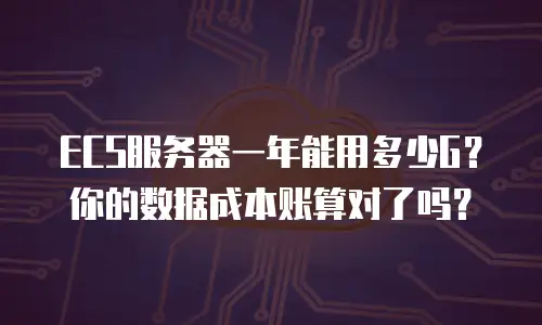ECS服务器一年能用多少G？你的数据成本账算对了吗？