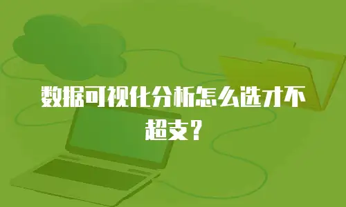 数据可视化分析怎么选才不超支？