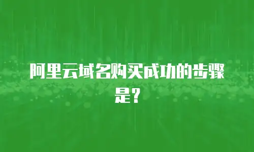 阿里云域名购买成功的步骤是？