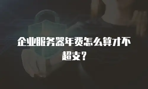 企业服务器年费怎么算才不超支？