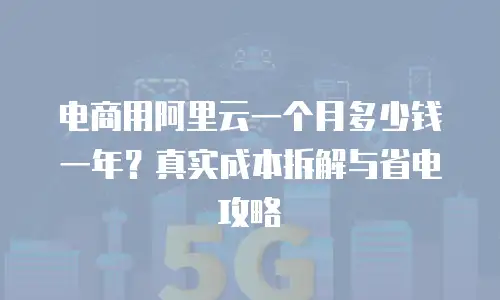 电商用阿里云一个月多少钱一年？真实成本拆解与省电攻略
