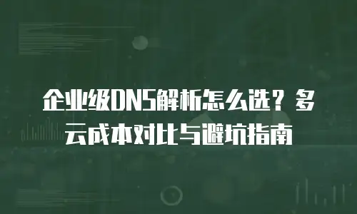 企业级DNS解析怎么选？多云成本对比与避坑指南