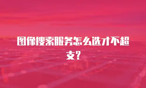 图像搜索服务怎么选才不超支？