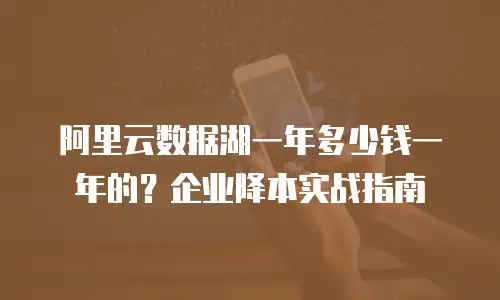阿里云数据湖一年多少钱一年的？企业降本实战指南