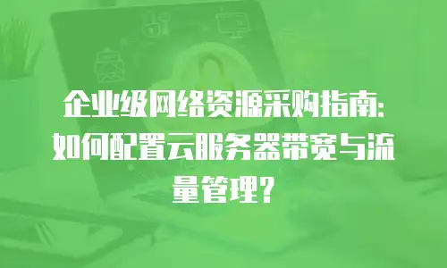 企业级网络资源采购指南：如何配置云服务器带宽与流量管理？