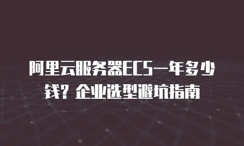 阿里云服务器ECS一年多少钱？企业选型避坑指南