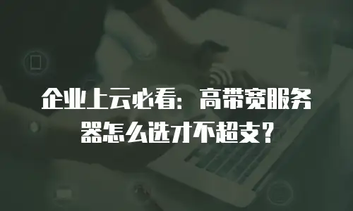 企业上云必看：高带宽服务器怎么选才不超支？