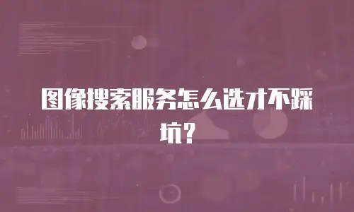 图像搜索服务怎么选才不踩坑？