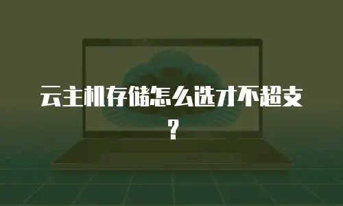 云主机存储怎么选才不超支？