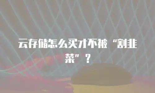 云存储怎么买才不被&ldquo;割韭菜&rdquo;？