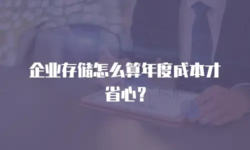 企业存储怎么算年度成本才省心？