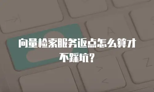 向量检索服务返点怎么算才不踩坑？