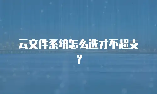 云文件系统怎么选才不超支？
