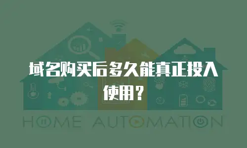 域名购买后多久能真正投入使用？