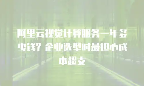 阿里云视觉计算服务一年多少钱？企业选型时最担心成本超支