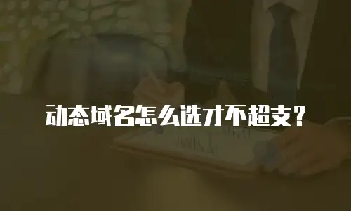 动态域名怎么选才不超支？